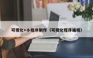 伊犁可视化+小程序制作（可视化程序编程）